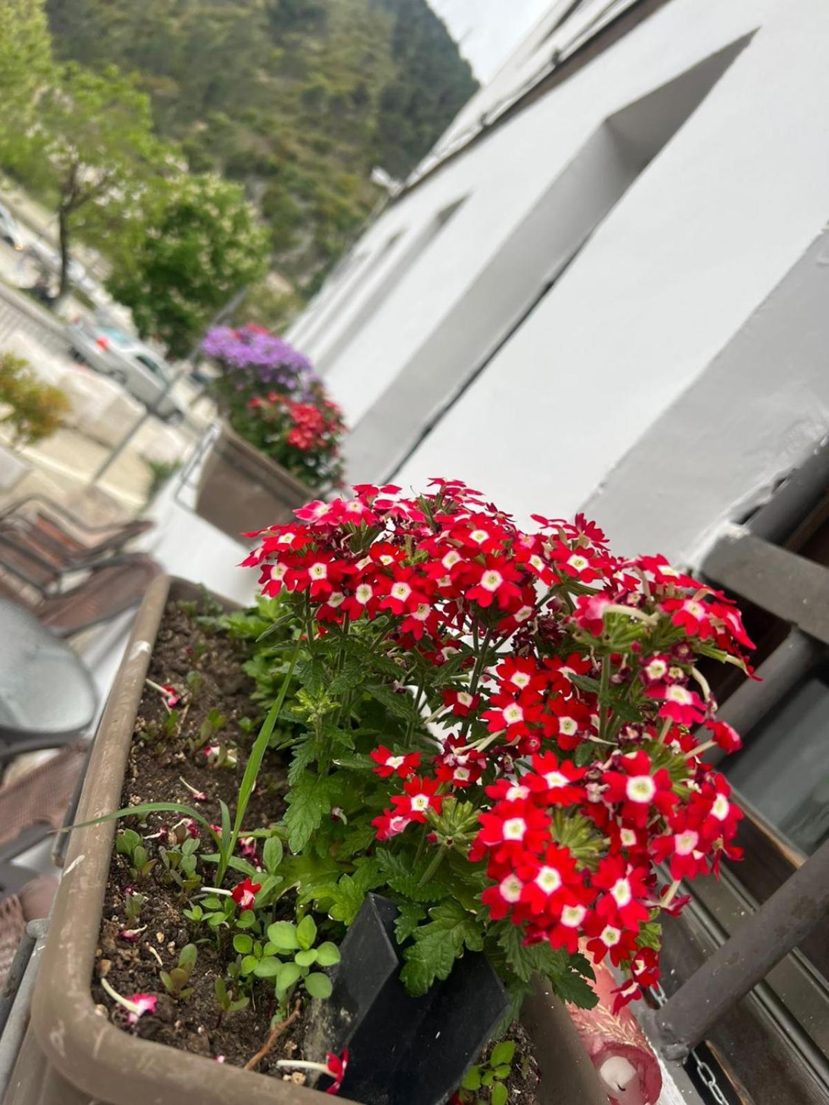 Hotel Omer Berat Phòng bức ảnh