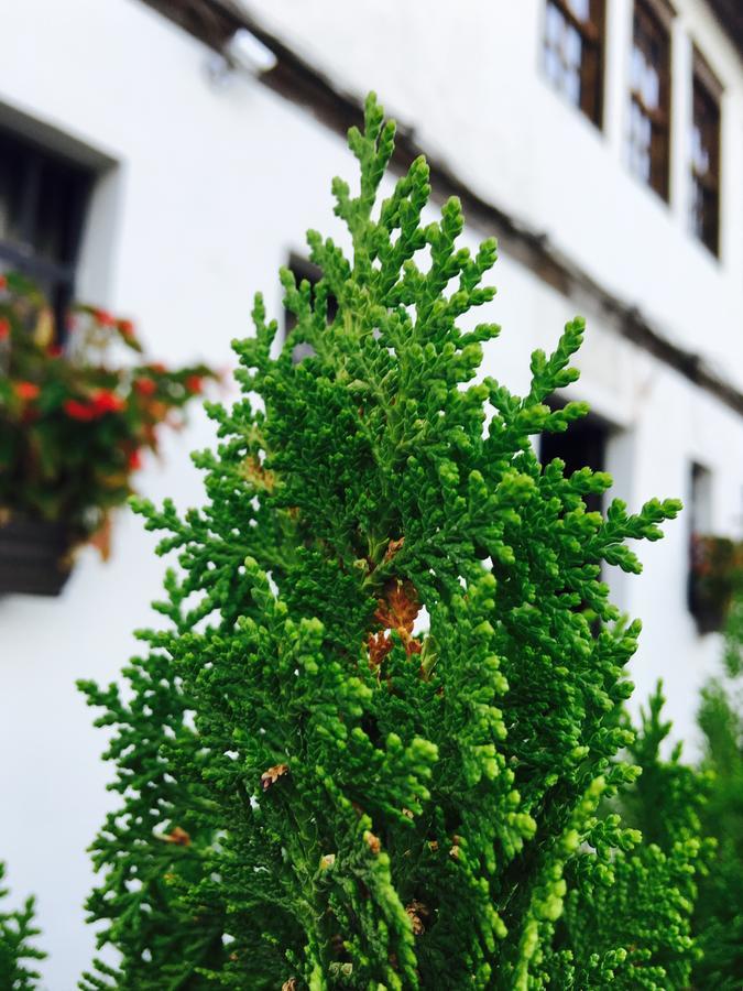 Hotel Omer Berat Ngoại thất bức ảnh